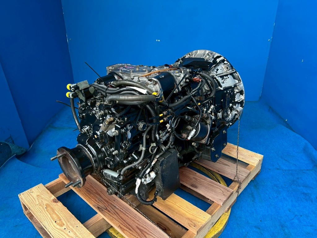 画像 5枚目